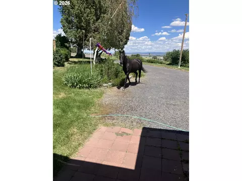 Other - 68883 Loop Dr, Hines, OR 97738 photo 2 of 25