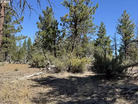jean st, Chiloquin, OR 97624 photo 27