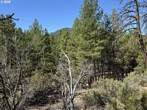 jean st, Chiloquin, OR 97624 photo 31