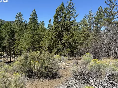 jean st, Chiloquin, OR 97624 photo 12