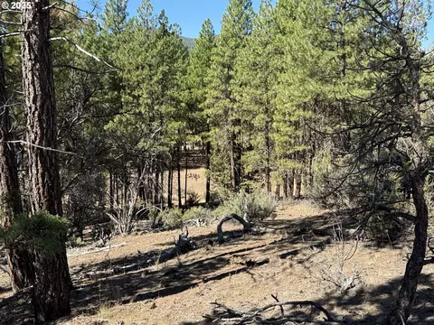 jean st, Chiloquin, OR 97624 photo 30