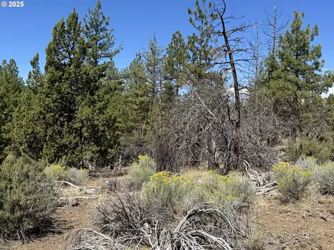 jean st, Chiloquin, OR 97624 photo 13