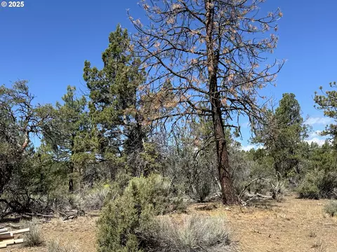 jean st, Chiloquin, OR 97624 photo 5