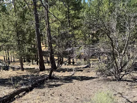 jean st, Chiloquin, OR 97624 photo 32