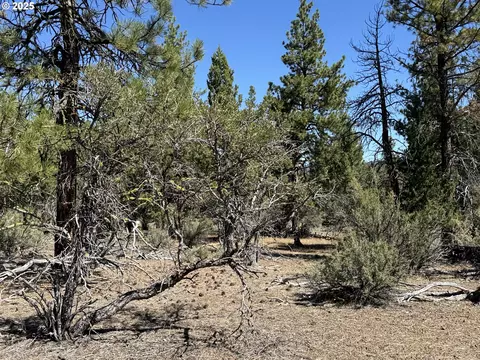 jean st, Chiloquin, OR 97624 photo 38