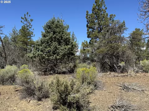 jean st, Chiloquin, OR 97624 photo 10