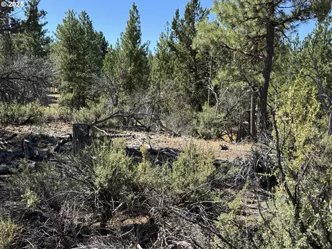 jean st, Chiloquin, OR 97624 photo 39