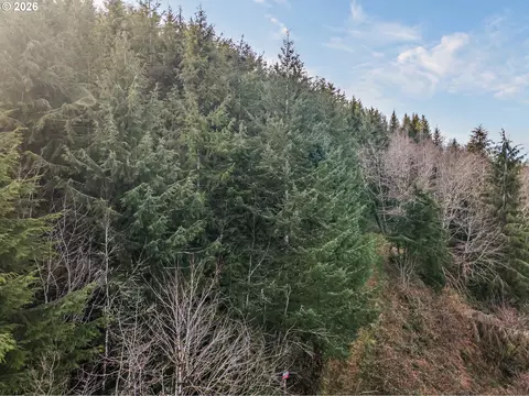 Criteser Loop, Toledo, OR 97391 photo 23