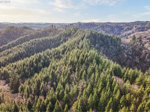Criteser Loop, Toledo, OR 97391 photo 17