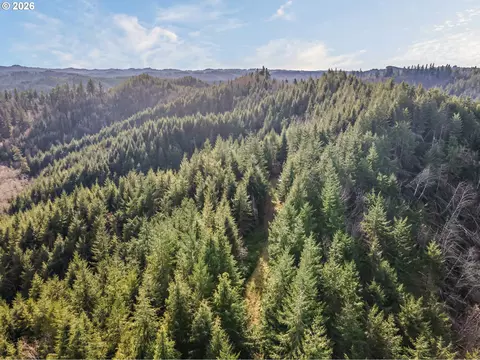 Criteser Loop, Toledo, OR 97391 photo 12