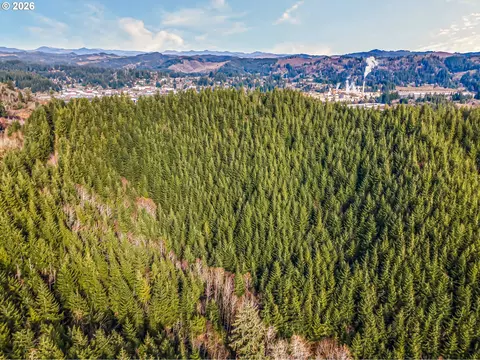 Criteser Loop, Toledo, OR 97391 photo 6