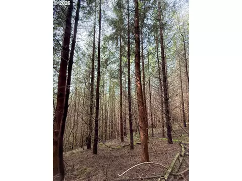 Criteser Loop, Toledo, OR 97391 photo 29