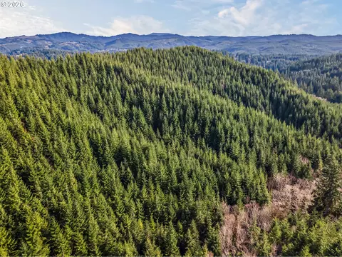 Criteser Loop, Toledo, OR 97391 photo 13