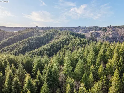 Criteser Loop, Toledo, OR 97391 photo 21