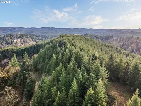 Criteser Loop, Toledo, OR 97391 photo 20