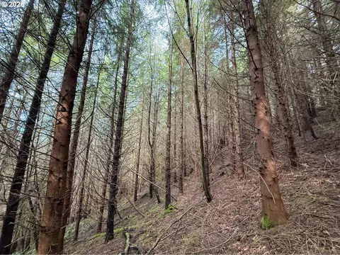 Criteser Loop, Toledo, OR 97391 photo 28