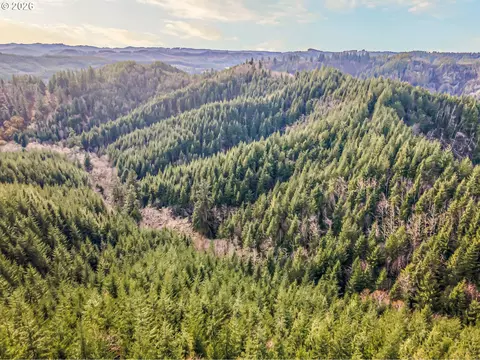 Criteser Loop, Toledo, OR 97391 photo 4