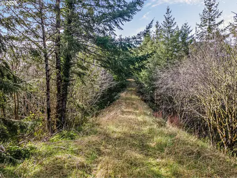 Criteser Loop, Toledo, OR 97391 photo 10