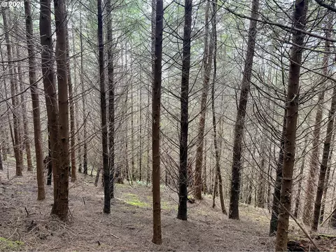Criteser Loop, Toledo, OR 97391 photo 26