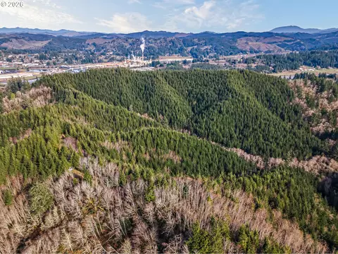 Criteser Loop, Toledo, OR 97391 photo 8