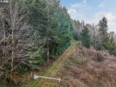 Criteser Loop, Toledo, OR 97391 photo 19