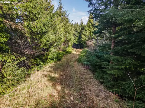 Criteser Loop, Toledo, OR 97391 photo 15