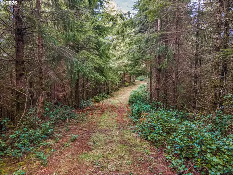 Criteser Loop, Toledo, OR 97391 photo 2