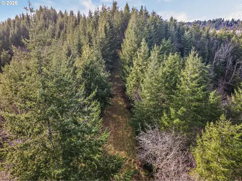 Criteser Loop, Toledo, OR 97391 photo 11