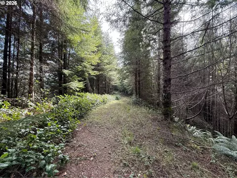 Criteser Loop, Toledo, OR 97391 photo 24