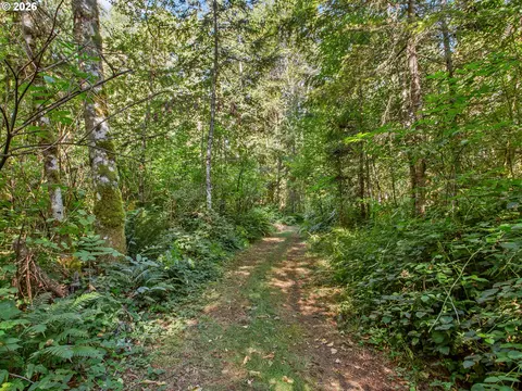 Other - SE 476th Ave, Sandy, OR 97055 photo 4 of 11