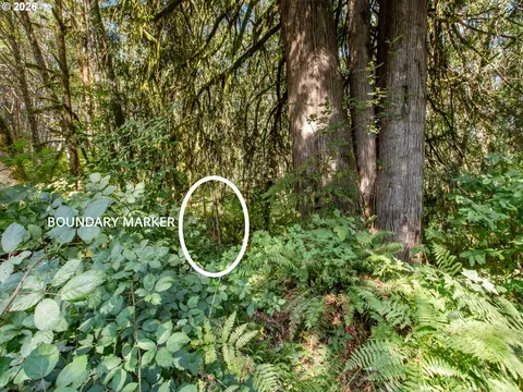Other - SE 476th Ave, Sandy, OR 97055 photo 9 of 11