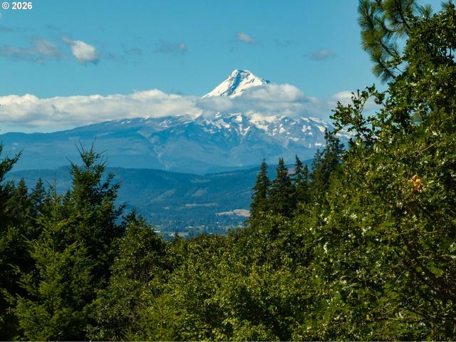 Riggleman Ln, White Salmon, WA 98672