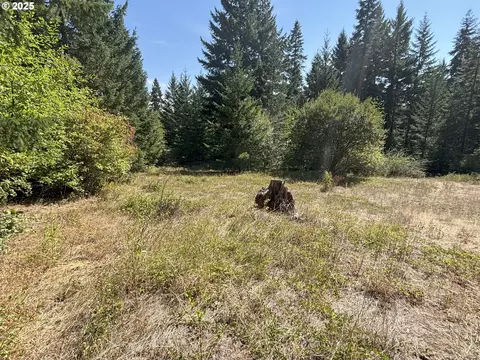 Canyon Rd, Lyle, WA 98635