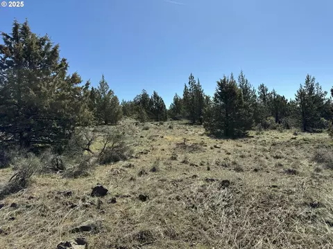 bluebill lane LOT 3, Bonanza, OR 97623