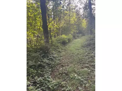 0 Matthews Rd, Washougal, WA 98671