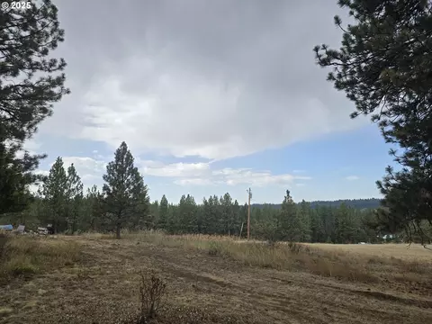 Other - 69443 Wickens Ln, Elgin, OR 97827 photo 3 of 12