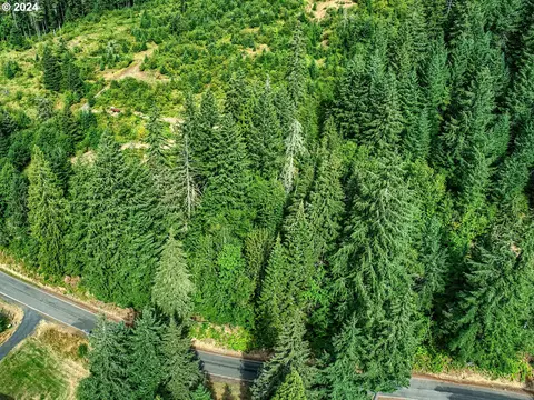 Bear Creek Rd, Carson, WA 98610 photo 3