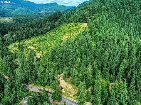 Bear Creek Rd, Carson, WA 98610 photo 2