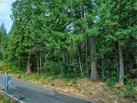 Bear Creek Rd, Carson, WA 98610 photo 6