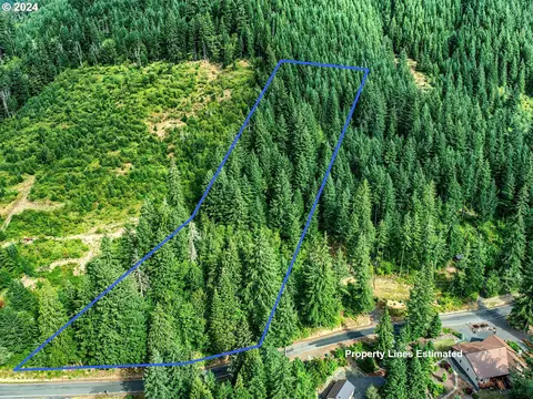 Bear Creek Rd, Carson, WA 98610 photo 4