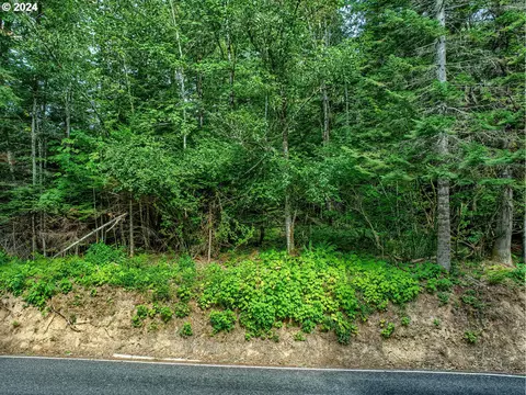 Bear Creek Rd, Carson, WA 98610 photo 7