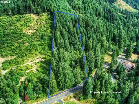 Bear Creek Rd, Carson, WA 98610 photo 1