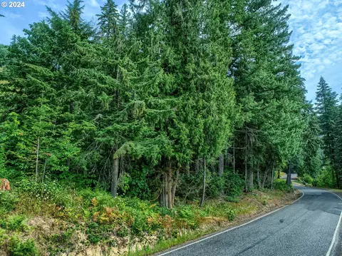 Bear Creek Rd, Carson, WA 98610 photo 5
