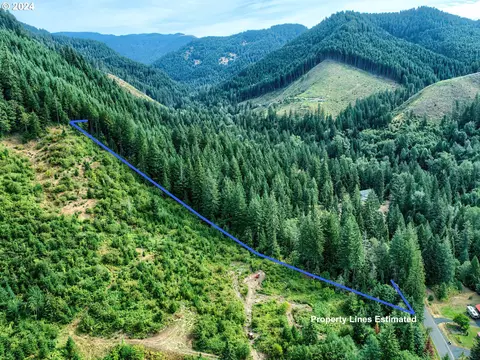 Bear Creek Rd, Carson, WA 98610 photo 8