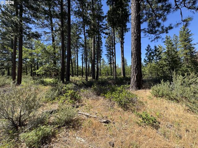 112 Timber Rd, Roosevelt, WA 99356