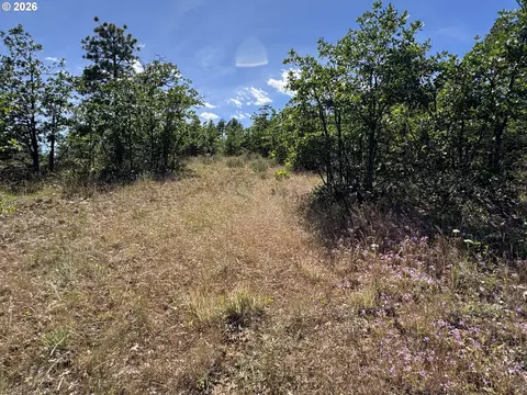 112 Timber Rd, Bickleton, WA 99322 photo 21