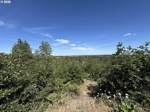 112 Timber Rd, Bickleton, WA 99322 photo 5