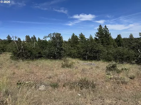 112 Timber Rd, Bickleton, WA 99322 photo 9