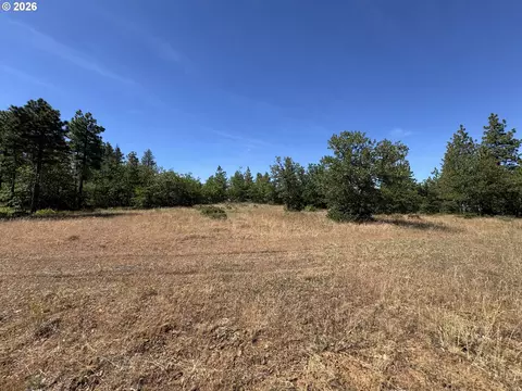 112 Timber Rd, Bickleton, WA 99322 photo 11