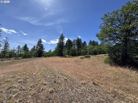 112 Timber Rd, Bickleton, WA 99322 photo 14